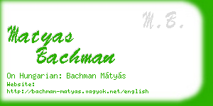 matyas bachman business card